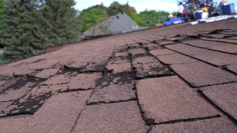Best 4 Ply Roofing  in Hellertown, PA